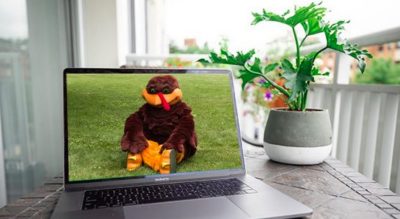 HokieBird on Laptop