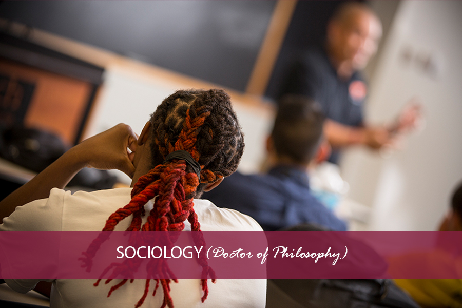 phd sociology university of virginia