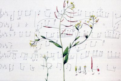 An image of a plant superimposed over musical notation