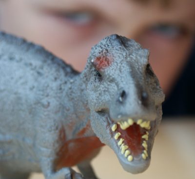 A child looks at a toy dinosaur
