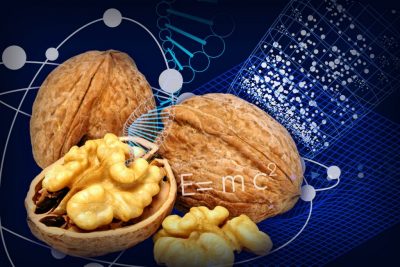 Walnuts superimposed over scientific images