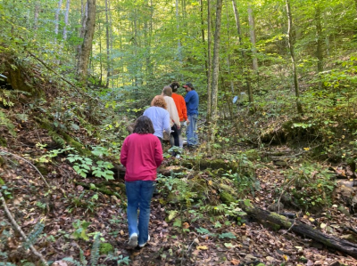 Photo of Virginia Tech students exploring forest herbs and roots while on a field trip
