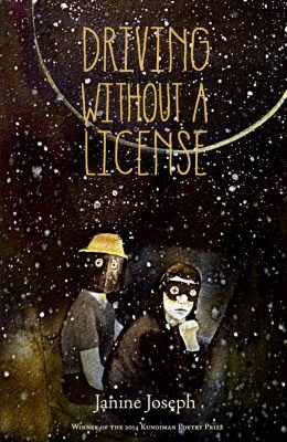 Book cover for Driving Without a License
