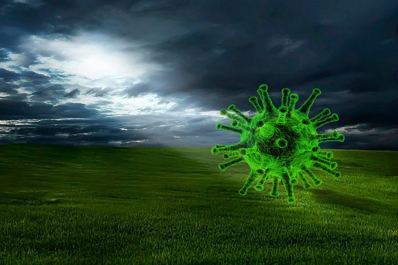 An illustration of the coronavirus hovering over a field of green
