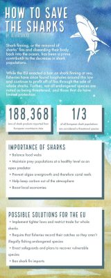 How to Save Sharks