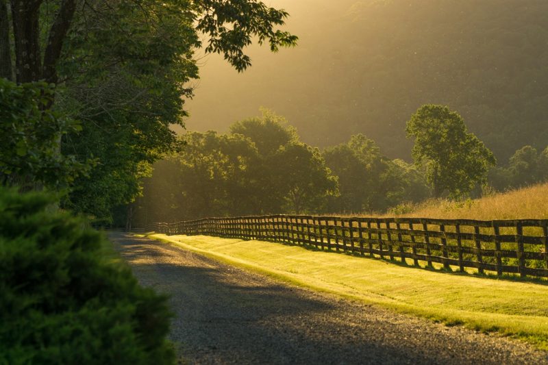 柔和的光线展现了弗吉尼亚州乡村的美景。