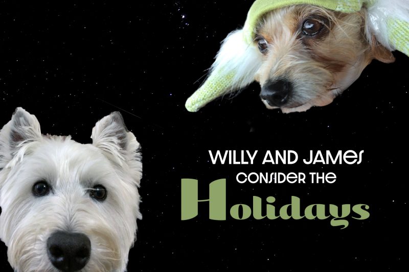 Willy and James Consider the Holidays video tease featuring Willy and James