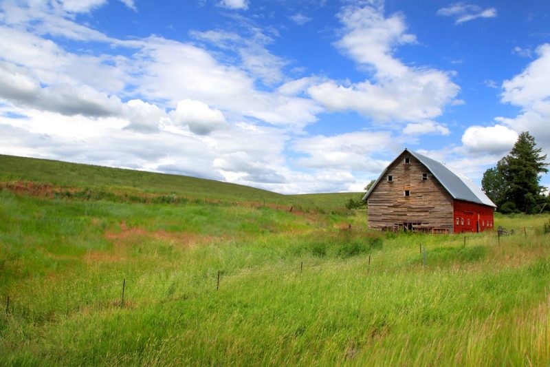 An old barn stands on a grassy field in rural Idaho