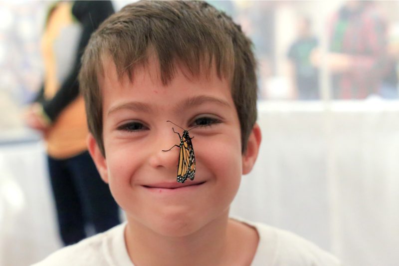 The butterfly tent is a fan favorite at Hokie BugFest. Rasha Aridi for Virginia Tech.
