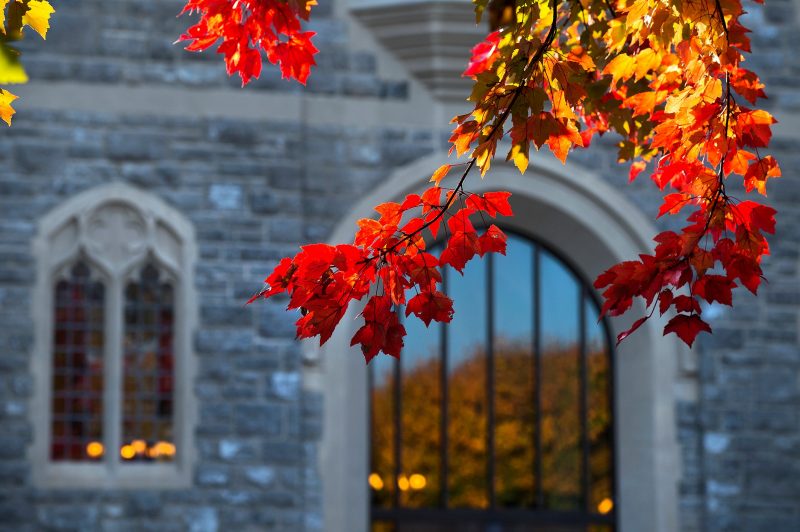 Fall foliage on the Blacksburg campus