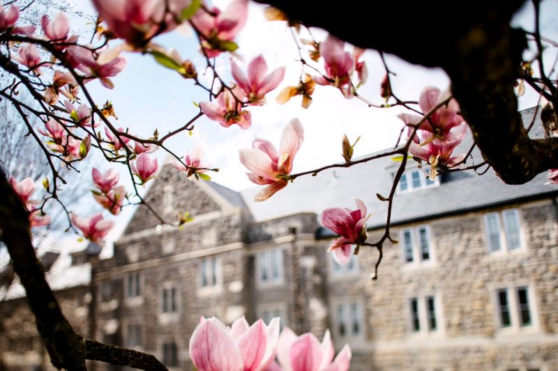 Springtime on the Blacksburg campus