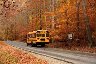 a school bus drives down a rural road in the autumn. there are multi colored leaves on the trees and on the ground. the road is barely paved