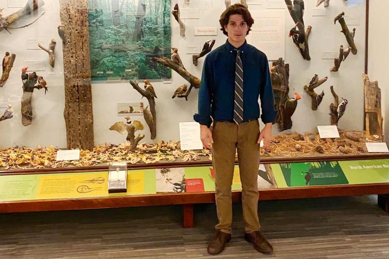 Nathan stands in front a display of birds in a museum exhibit case.
