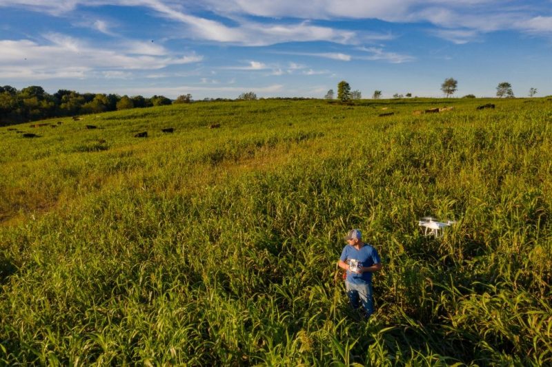 A person stands in a field using a drone for research