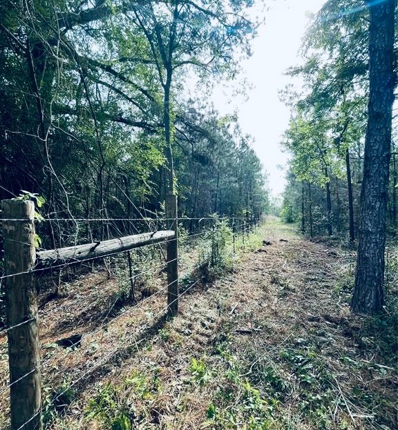 we look down a private mud road in early morning light; there is barbed wire blocking access from the left of the road, which is tree and weed lined