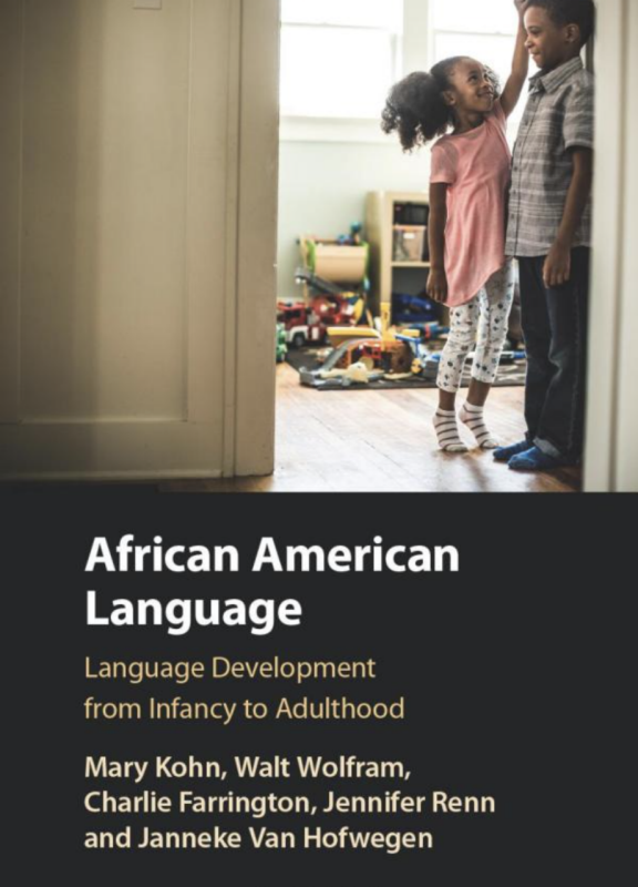 Book cover for African American Language