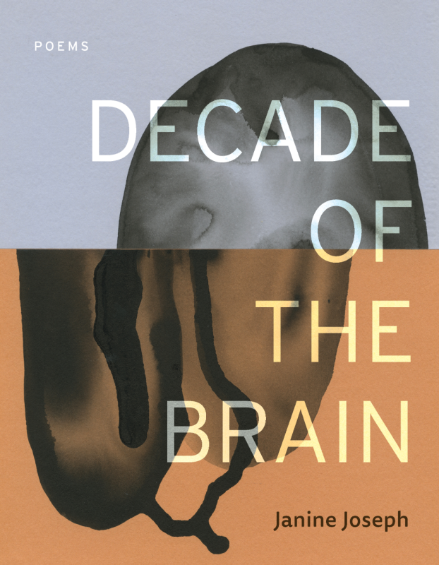 Book cover for Decade of the Brain