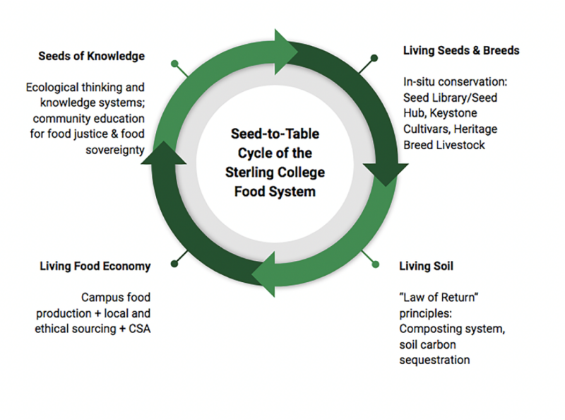 Seed-to-table Diagram 