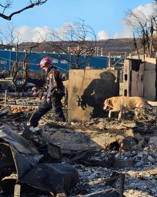 person and dog walking through rubble of a building after wildfire