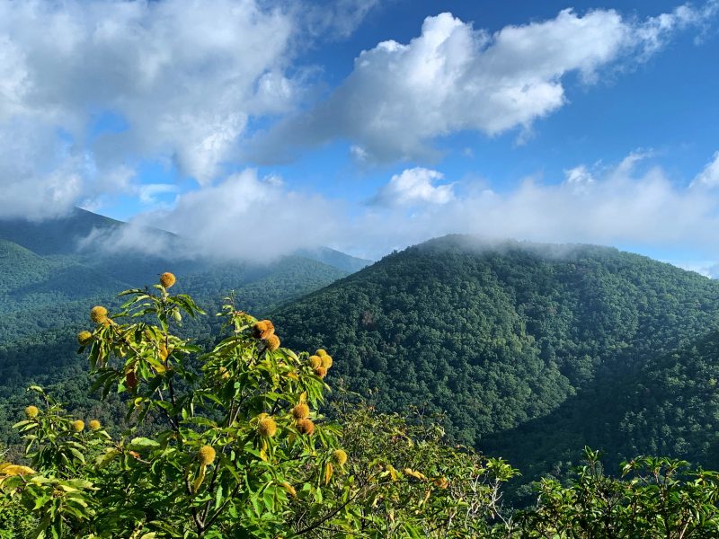 mountain landscape