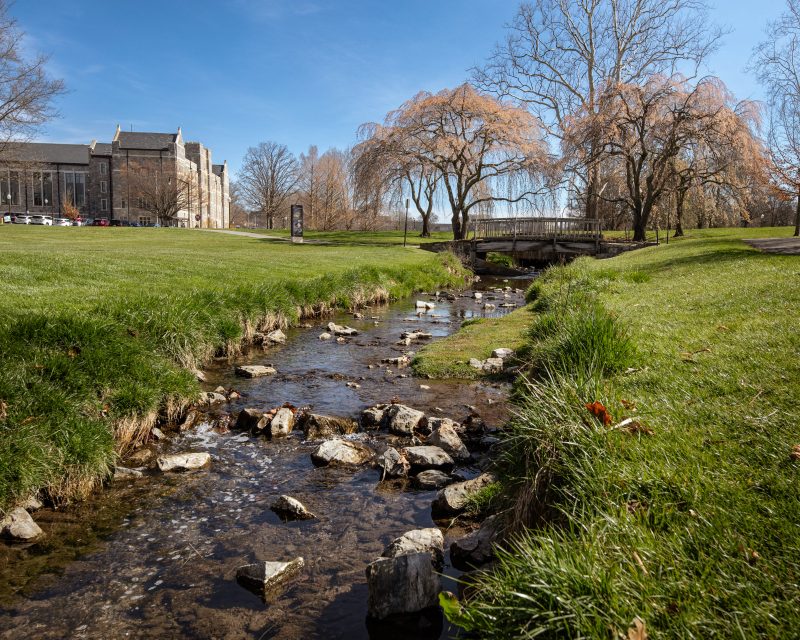 Green grass lines Stroubles Creek on a spring day. 